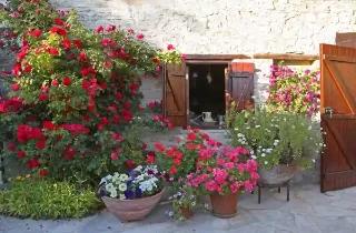 Verschiedene Blumen und Pflanzen vor einem alten Steinhaus.