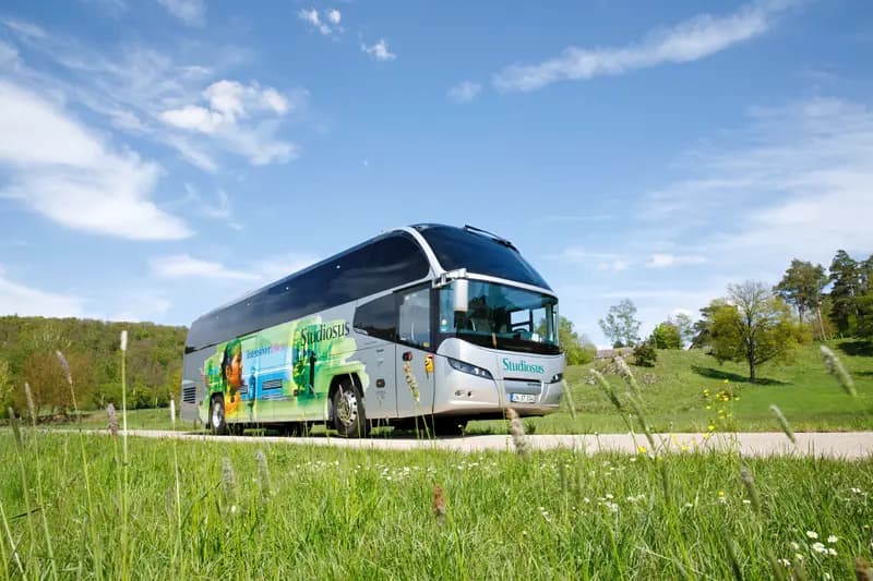 Studiosus Standardbus in einer grünen Landschaft