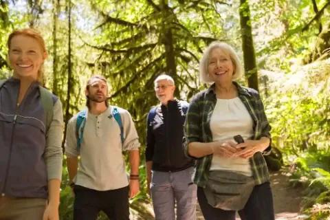 Eine Gruppe von vier Wanderern, die fröhlich auf einem Wanderweg im Wald spazieren.