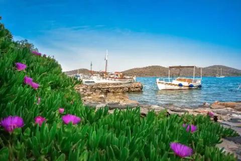 Landschaft mit Booten im Hafen und blühenden Pflanzen