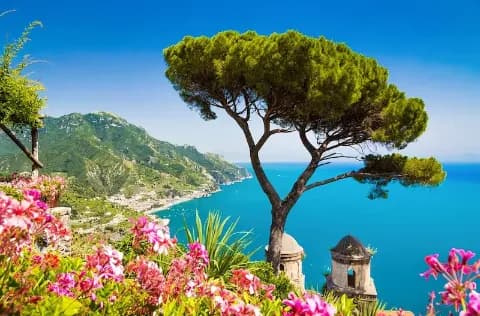 Die Amalfi-Küste mit einem Baum, farbenfrohen Blumen und dem türkisfarbenen Meer im Hintergrund.