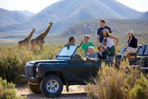 Eine Gruppe von Menschen im Geländewagen beobachtet Giraffen.