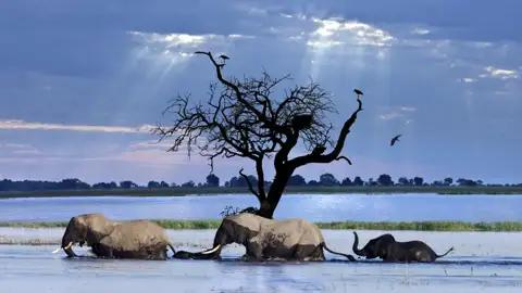 Auf unserer 20-tägigen Studienreise durch das Südliche Afrika kommen wir der Tierwelt sehr nahe, vielleicht auch dieser Elefanten-Kleinfamilie.