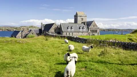 Auf unserer Schottlandrundreise unternehmen wir einen Fährausflug zur Insel Iona. Hier besuchen wir die weltberühmte Abtei und fotografieren Schafe.
