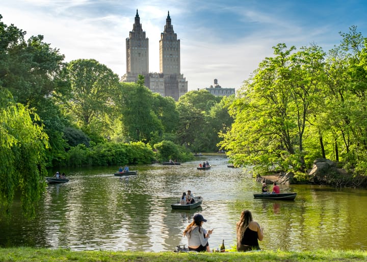 Im Central Park und anderen Gemüsegärten