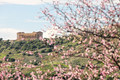 Studiosus macht Lust auf Frühling im kultimer: Mandelblüte auf Sizilien und zwölf weitere Reisespecials